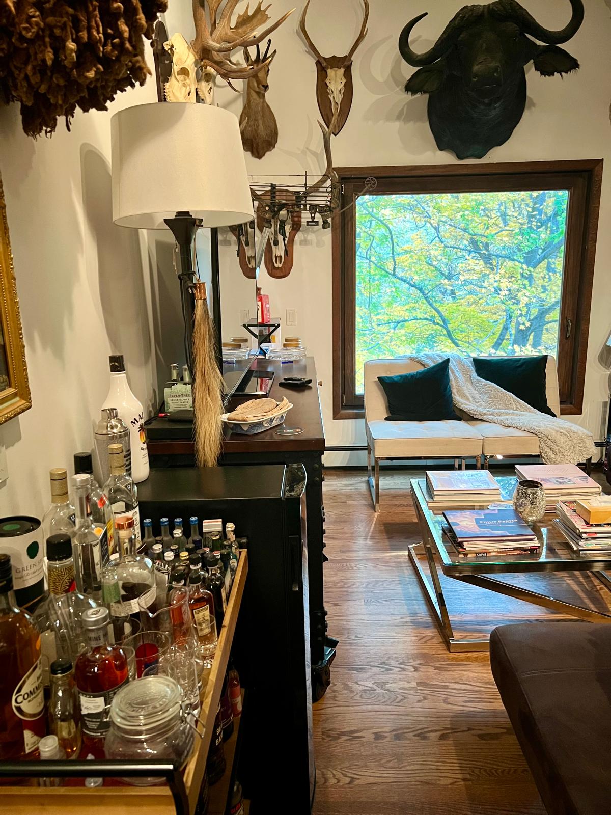 Lounge beneath a wall of mounts, with a window onto the woods